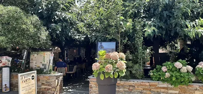 L’entrée sous les platanes